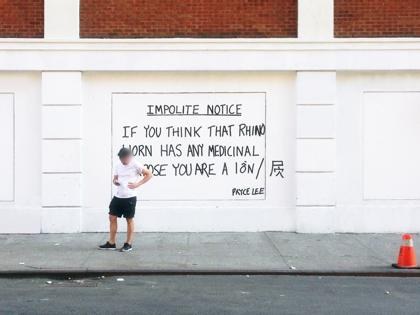 Pryce Lee, Impolite Notice, Rivington Street Wall